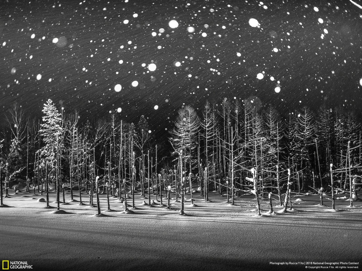 fot. Rucca Y Ito, "Snowflakes"