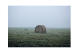 Mistyczna poranna przejażdżka, Dundee, 2021. Zatrzymałem się wczesnym porankiem, aby uchwycić tę malarską scenę: samotna bela otoczona mgłą i zieloną trawą. Kiedy nadejdzie zima, ta bela wykarmi stado krów lub koni przez kilka dni, a następnie zostanie zastąpiona inną.