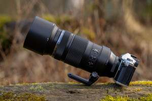 OM System ED 100-400 mm f/5-6.3 IS II - pierwsze wrażenia i zdjęcia przykładowe