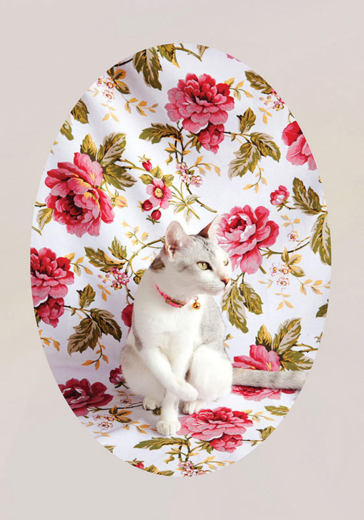 Liana Yang "Kwiaty & Hidey #82" z cyklu "Co uwielbia moja kociczka", 2012