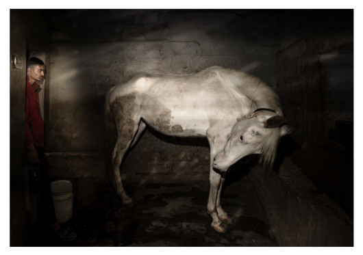 Fot. Andrea Bettancini, z cyklu The Sound of Silence, nagroda Urban Press Award / Urban Photo Awards 2025