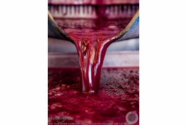 fot. Jenelle Bonifield - kategoria "Errazuriz Wine Photographer of the Year - Produce"