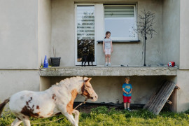 Fot. Marcin Urbanowicz, ,,Falko”. Fundacja Falko i Przyjaciele w Wierzbiu ratuje chore konie i porzucone psy. Działa dzięki zbiórkom internetowym, jednak stale brakuje środków na leczenie i utrzymanie zwierząt. Malwina Sobolewska wraz ze schorowaną matką i kilkoma wolontariuszami opiekuje się obecnie dziesięcioma końmi i jedenastoma psami.<br></br><br></br>2. nagroda w kat. Documentary Project / Grand Press Photo 2025