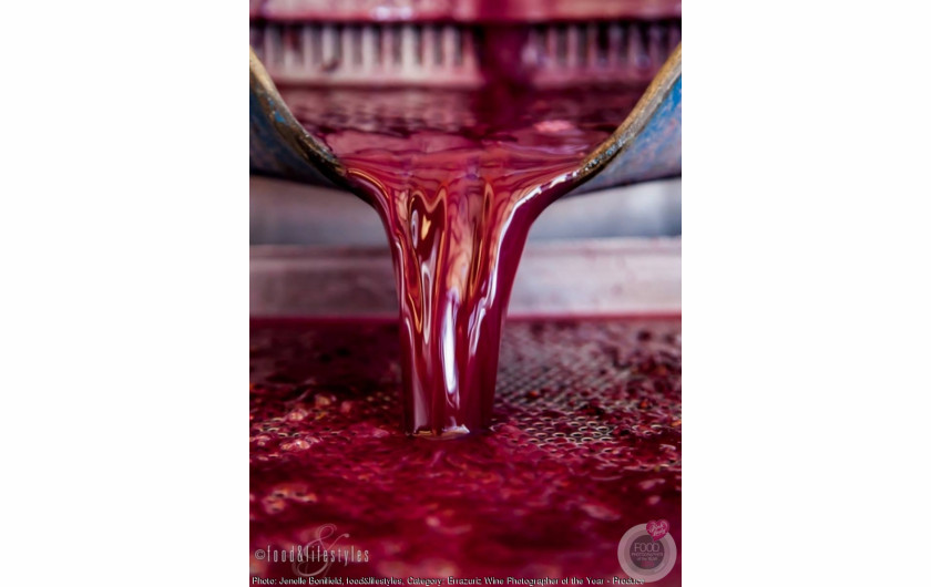 fot. Jenelle Bonifield - kategoria Errazuriz Wine Photographer of the Year - Produce