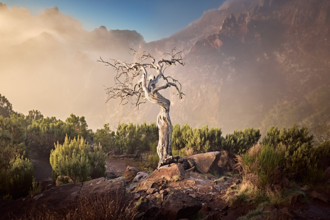 Fot. Michał Struk, wyróżnienie  / Fine Art Photography Awards 2026