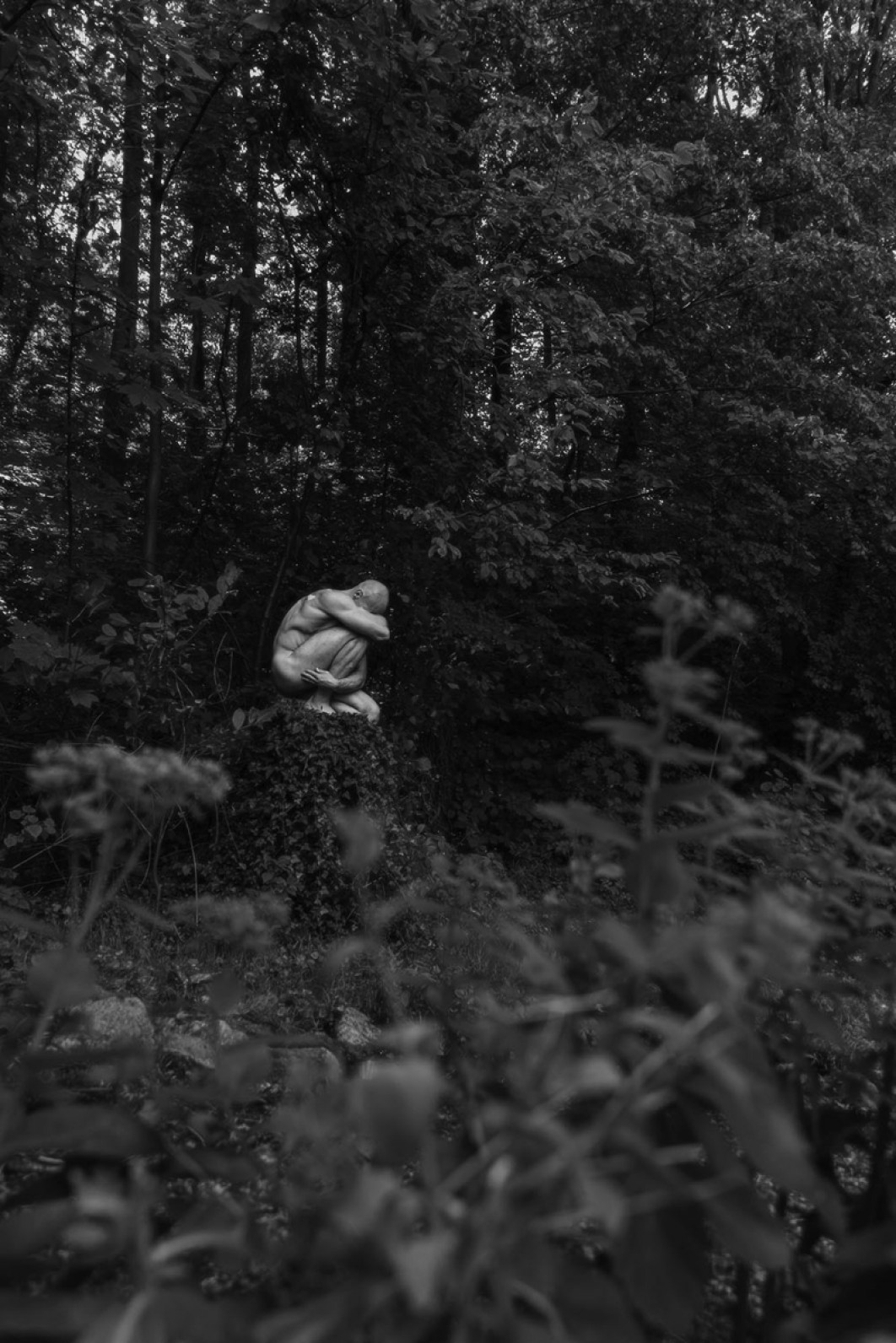 Fot. Natalia Sobota, wyróżnienie  / Fine Art Photography Awards 2026