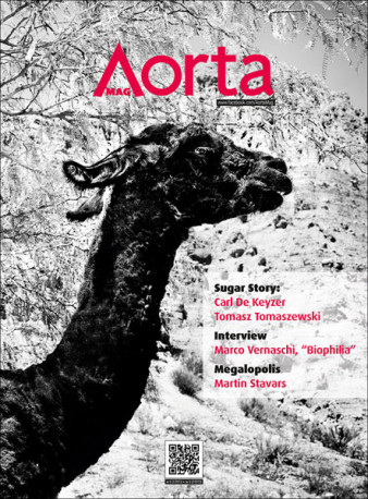 Magazyn Aorta, nr 6