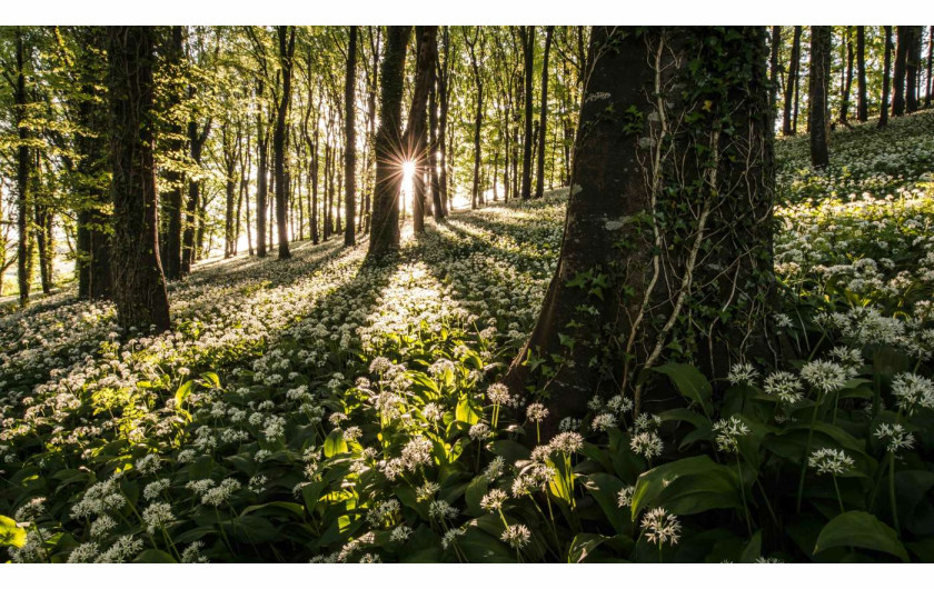 fot. Robin Goodlad - kategoria Food in the Field