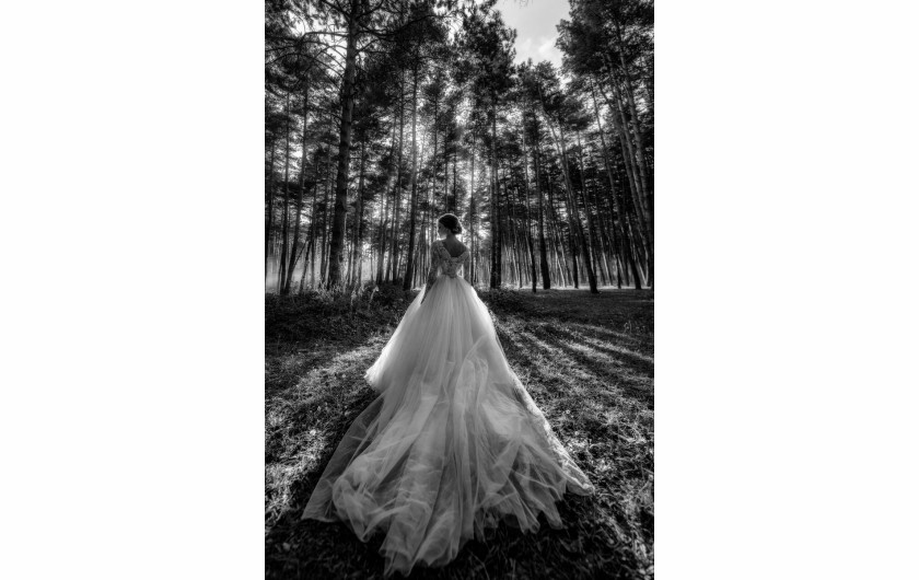 fot. Iuri Akopov, Silver Camera Award w kategorii Wedding