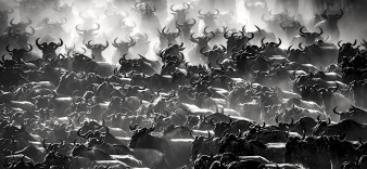 Polacy zwycięzcami MonoVisions Photography Awards 2020