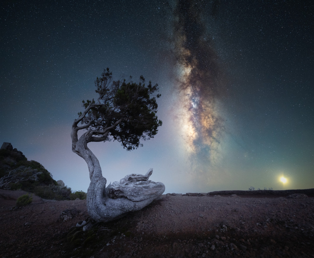 1/100 s, f/5.6, ISO 2000, 14.0 mm