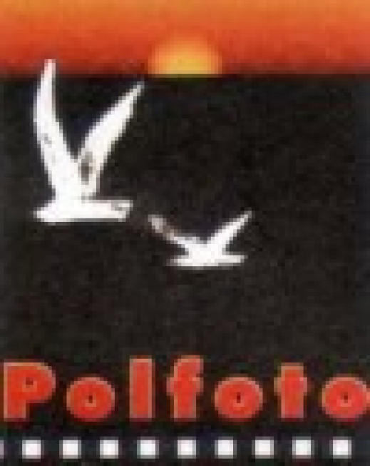 POLFOTO 2002