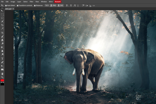 Photopea to darmowy klon Photoshopa, który uruchomisz w przeglądarce