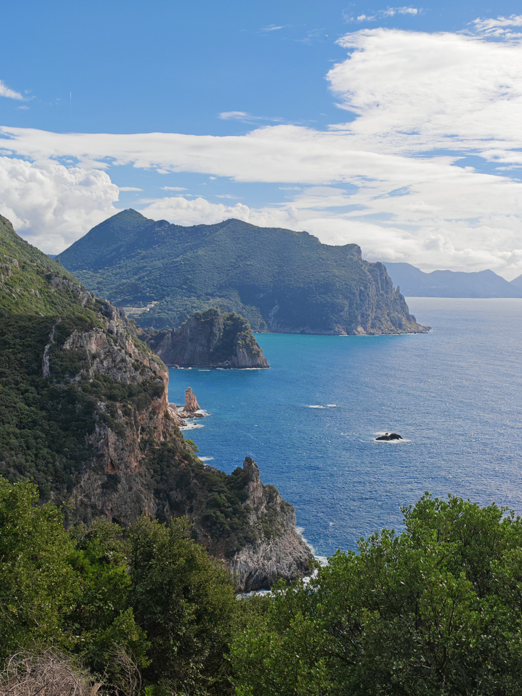 1/1500 s, f/1.9, ISO 50, aparat główny