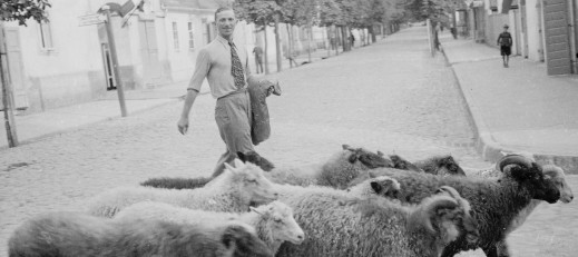 Zdjęcia Bolesława Augustisa to najciekawszy przykład międzywojennej fotografii ulicznej w Polsce