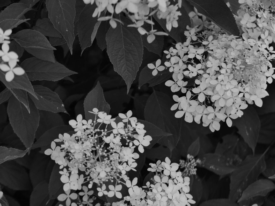 1/1000 s, f/2.8, ISO 200, 34.0 mm