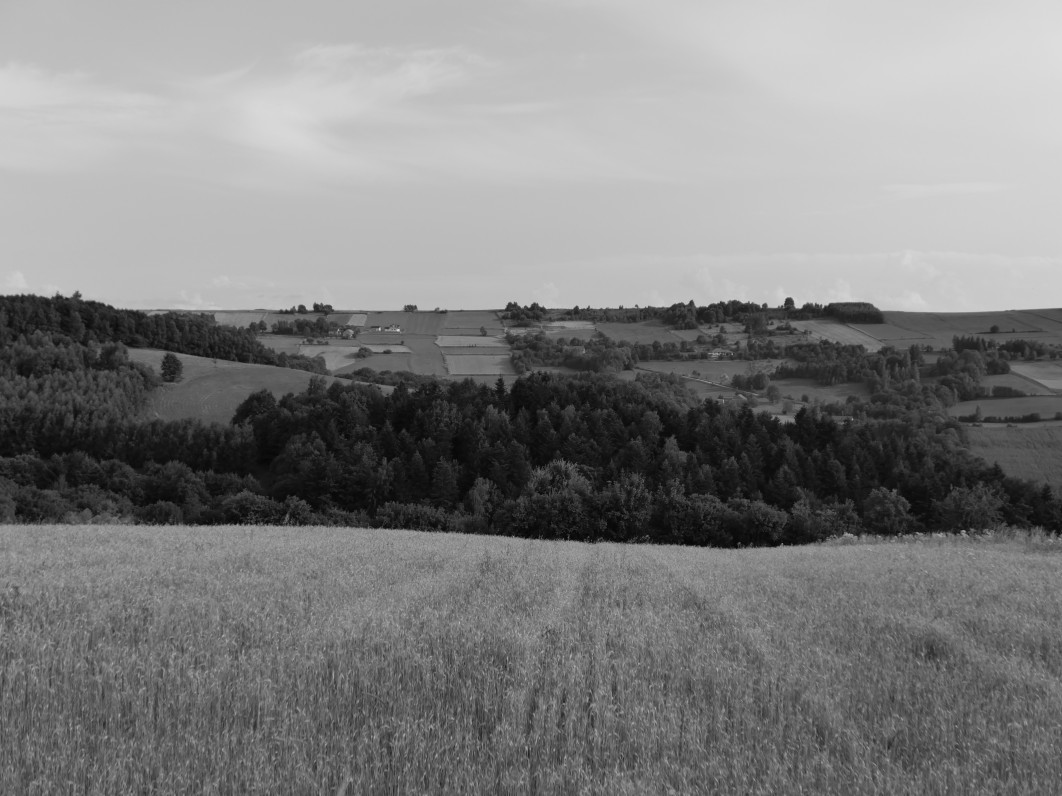 1/2500 s, f/2.6, ISO 200, 19.7 mm