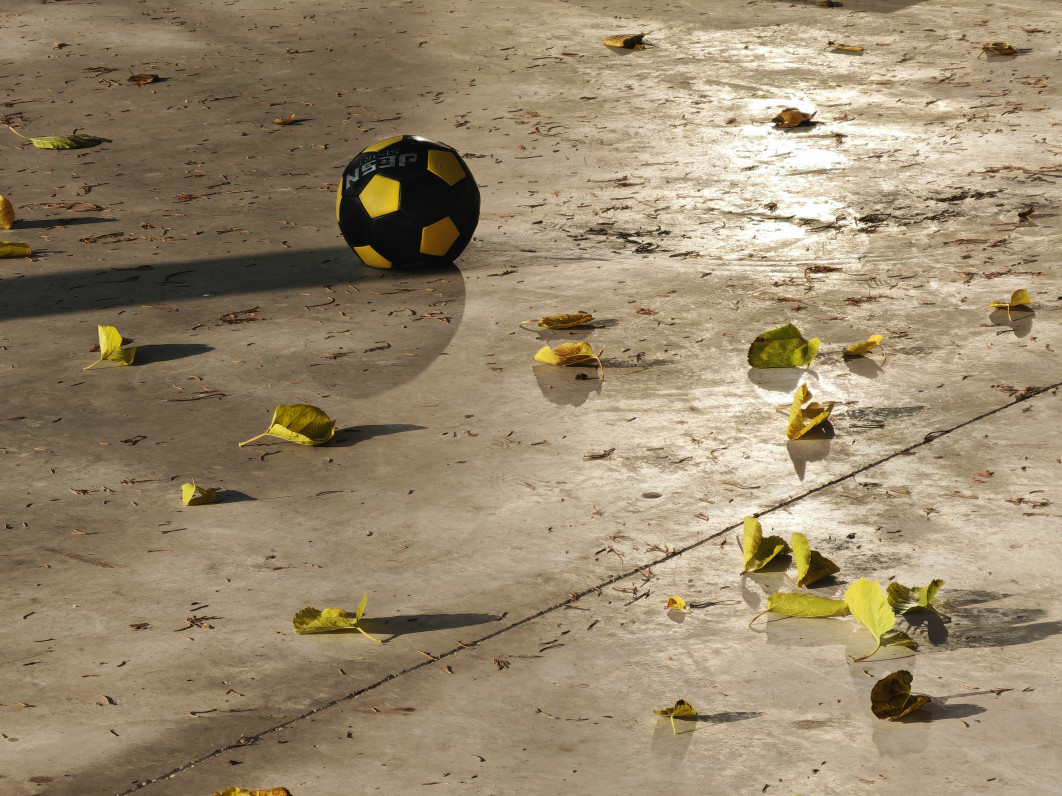 1/700 s, f/2.4, ISO 50, aparat tele