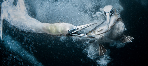 Oto laureaci sekcji otwartej Sony World Photography Awards. Piotr Leczkowski z nagrodą Poland National Award