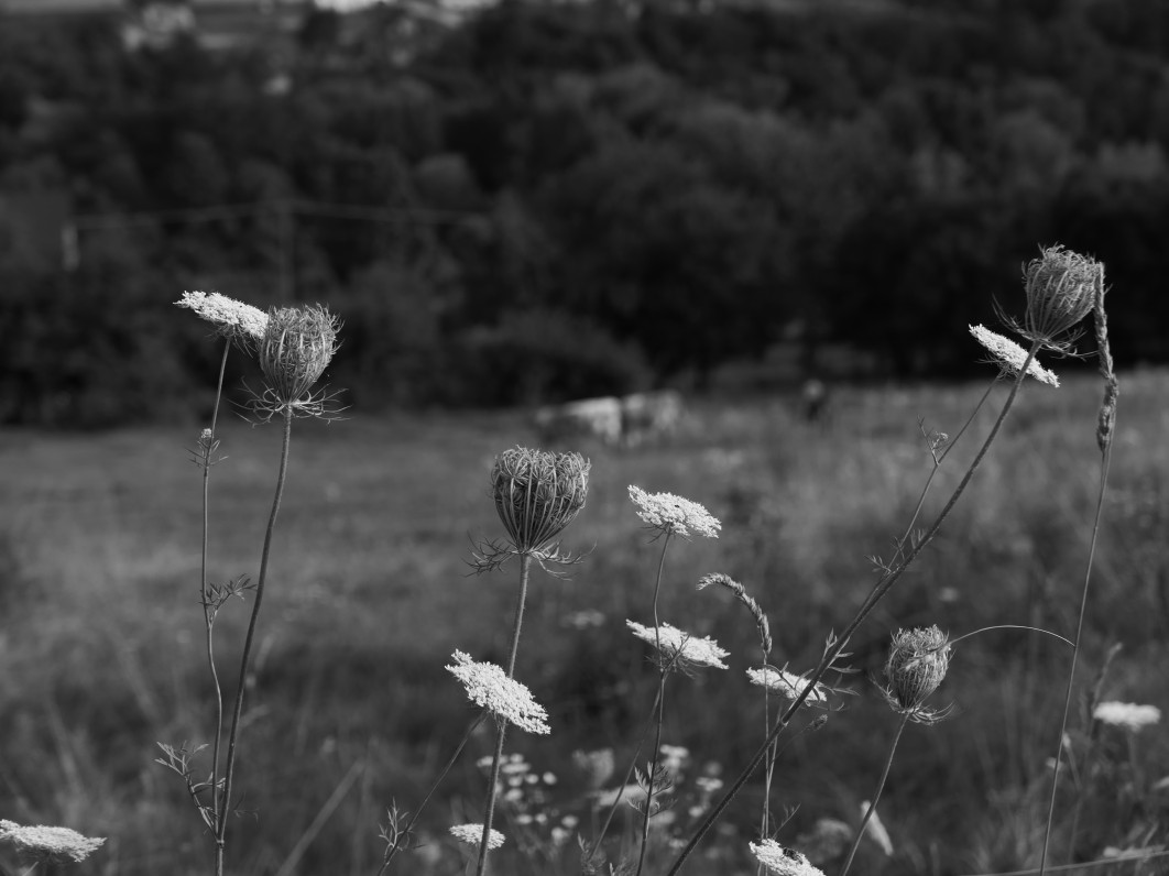 1/640 s, f/4.5, ISO 200, 34.0 mm