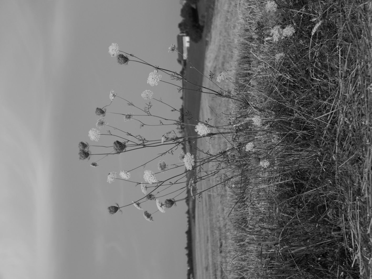 1/3200 s, f/2.8, ISO 200, 24.5 mm
