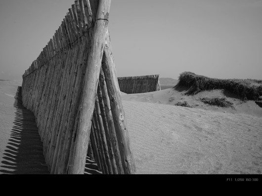 Voigtländer Nokton 40 mm f/1.2 