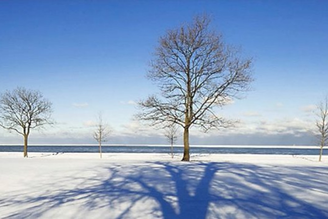 Foto porady Szkoły Perfekcyjnej Fotografii na fotopolis.pl - Reguła "słoneczna f/16" - sposób na perfekcyjną ekspozycję śniegu