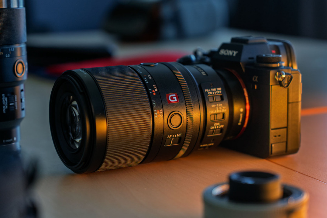 Sony FE 100 mm f/2.8 Macro GM OSS - pierwsze wrażenia i zdjęcia przykładowe (RAW)