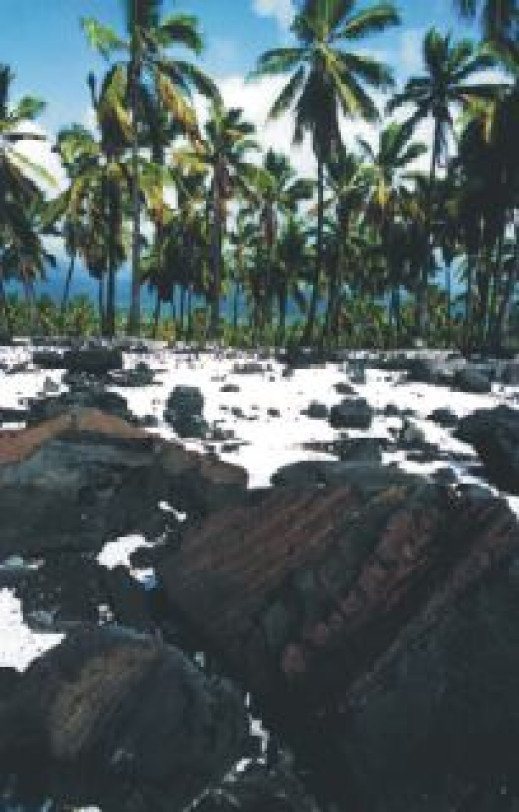 Fotografie z niezwykłego archipelagu w Galerii Dong-Nam