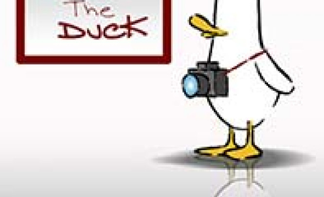 Plebiscyt "What The Duck" - rozstrzygnięty!