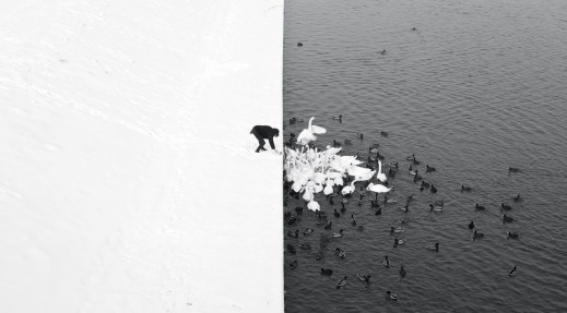 ZAPOWIEDŹ: 100 Great Street Photographs