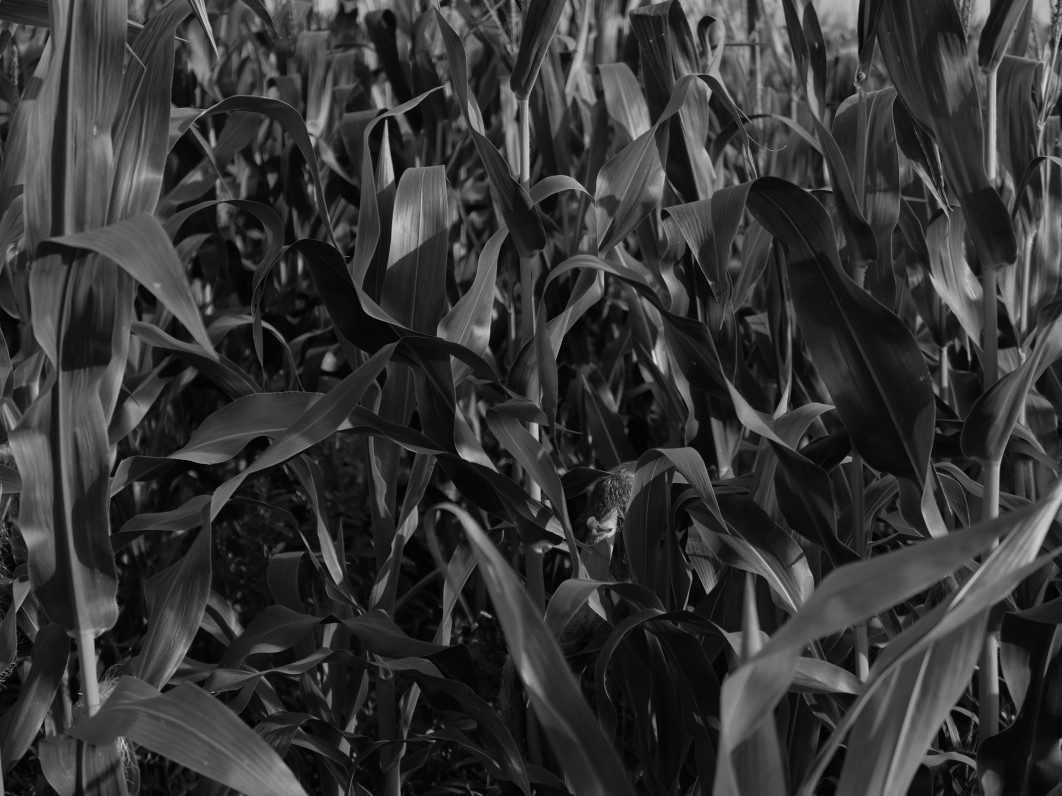 1/2000 s, f/2.8, ISO 200, 34.0 mm