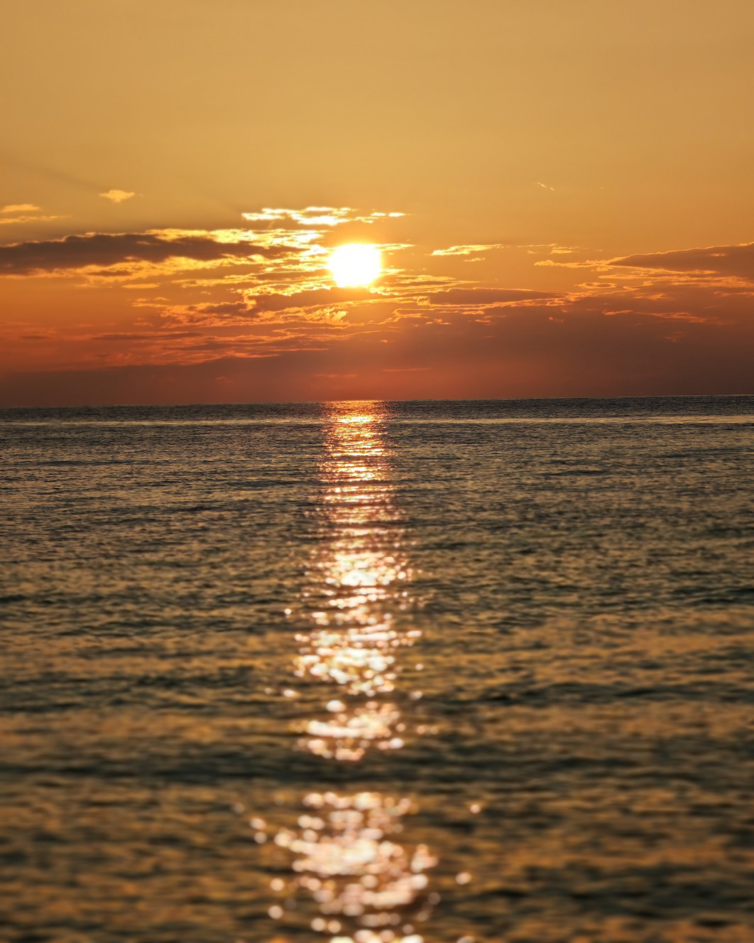 1/1900 s, f/2.8, ISO 50, aparat tele