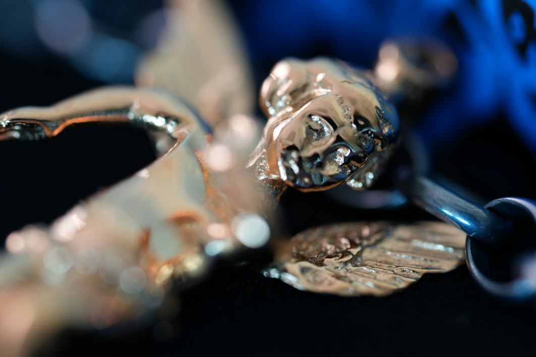 0.3 s, f/2.8, ISO 100, 100.0 mm