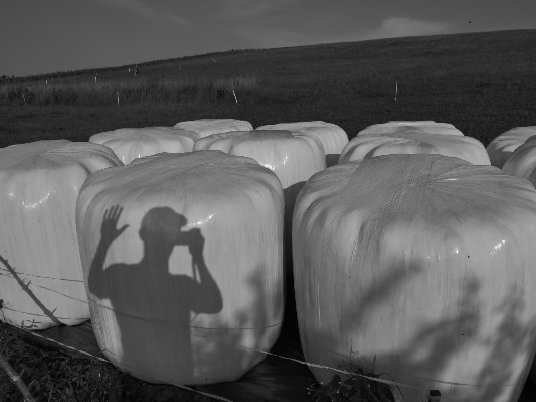 1/1000 s, f/9, ISO 200, 10.9 mm