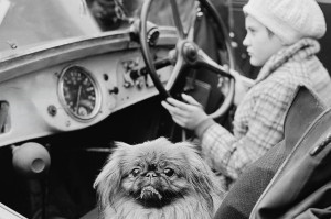 Śląski Cartier-Bresson - przekrojowa wystawa Józefa Makala w Katowicach