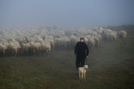 fot. Bartłomiej Jurecki, 2. miejsce Fotoreporter Roku 2019