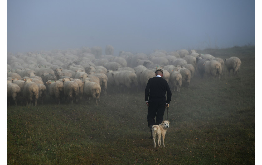 fot. Bartłomiej Jurecki, 2. miejsce Fotoreporter Roku 2019