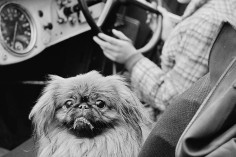 Śląski Cartier-Bresson - przekrojowa wystawa Józefa Makala w Katowicach
