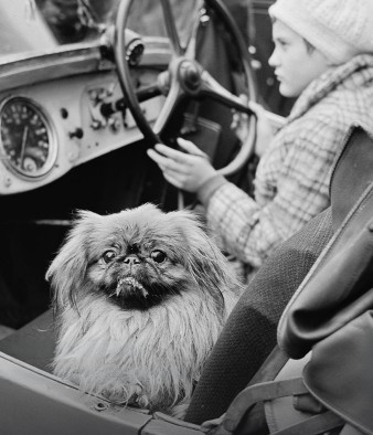 Śląski Cartier-Bresson - przekrojona wystawa Józefa Makala w Katowicach