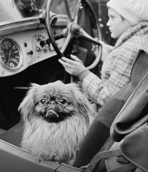 Śląski Cartier-Bresson - przekrojona wystawa Józefa Makala w Katowicach