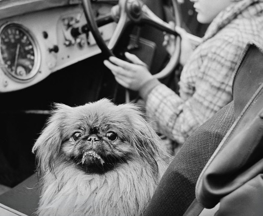 Śląski Cartier-Bresson - przekrojowa wystawa Józefa Makala w Katowicach