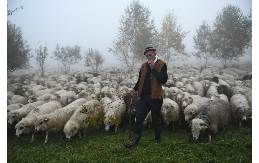 fot. Bartłomiej Jurecki, 2. miejsce Fotoreporter Roku 2019