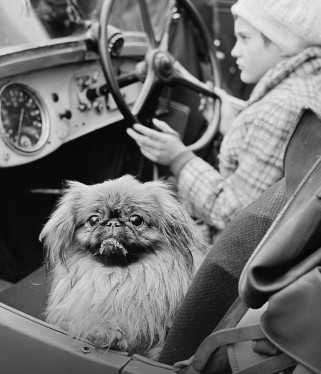 Śląski Cartier-Bresson - przekrojona wystawa Józefa Makala w Katowicach
