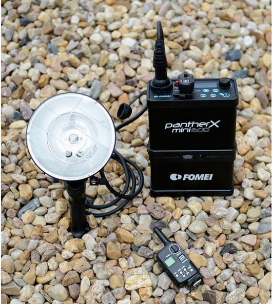 Fomei Panther 600 MINI X