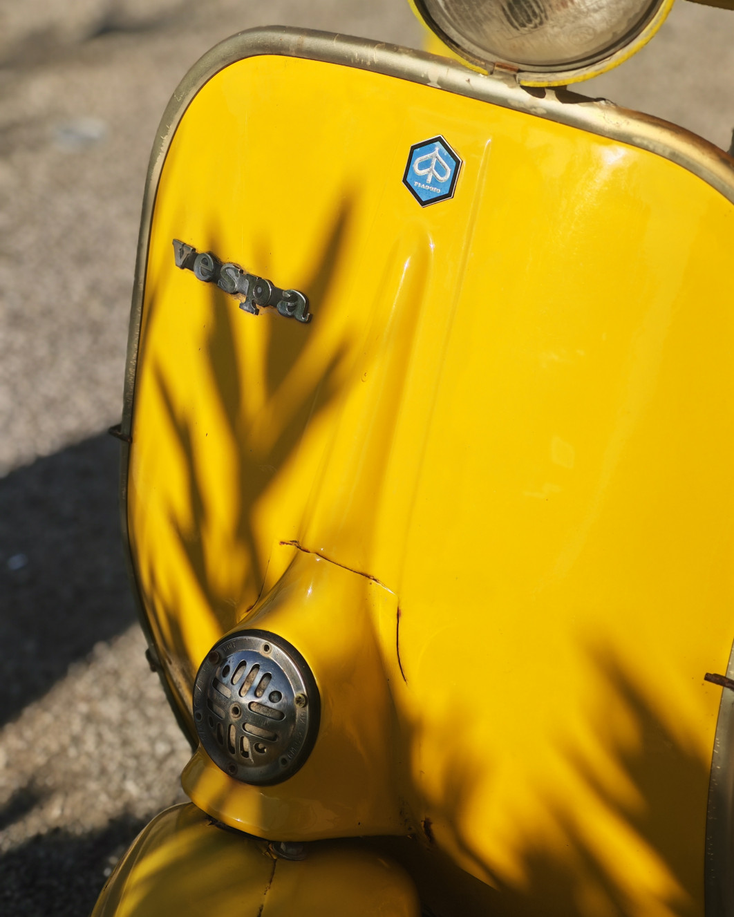 1/930 s, f/2.8, ISO 50, aparat tele (tryb portretowy)