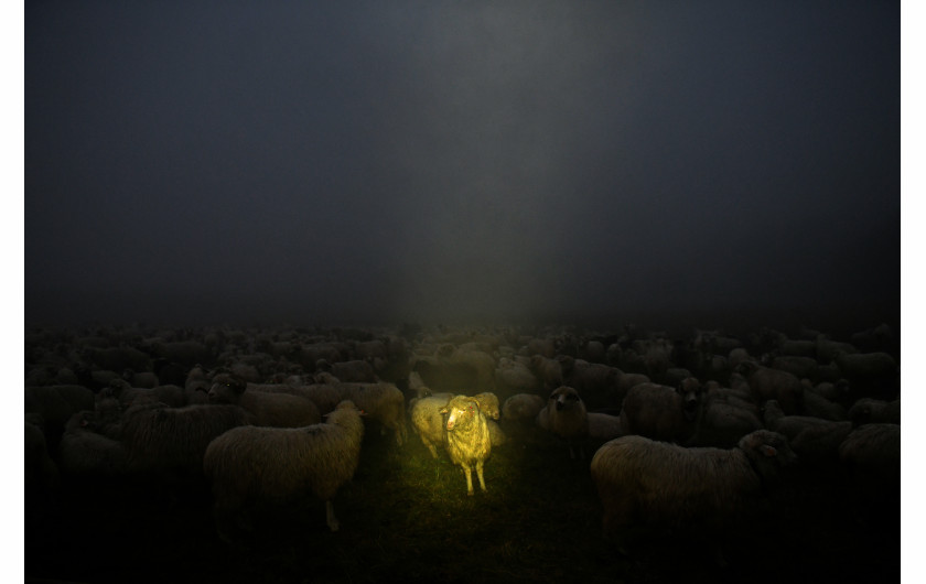 fot. Bartłomiej Jurecki, 2. miejsce Fotoreporter Roku 2019