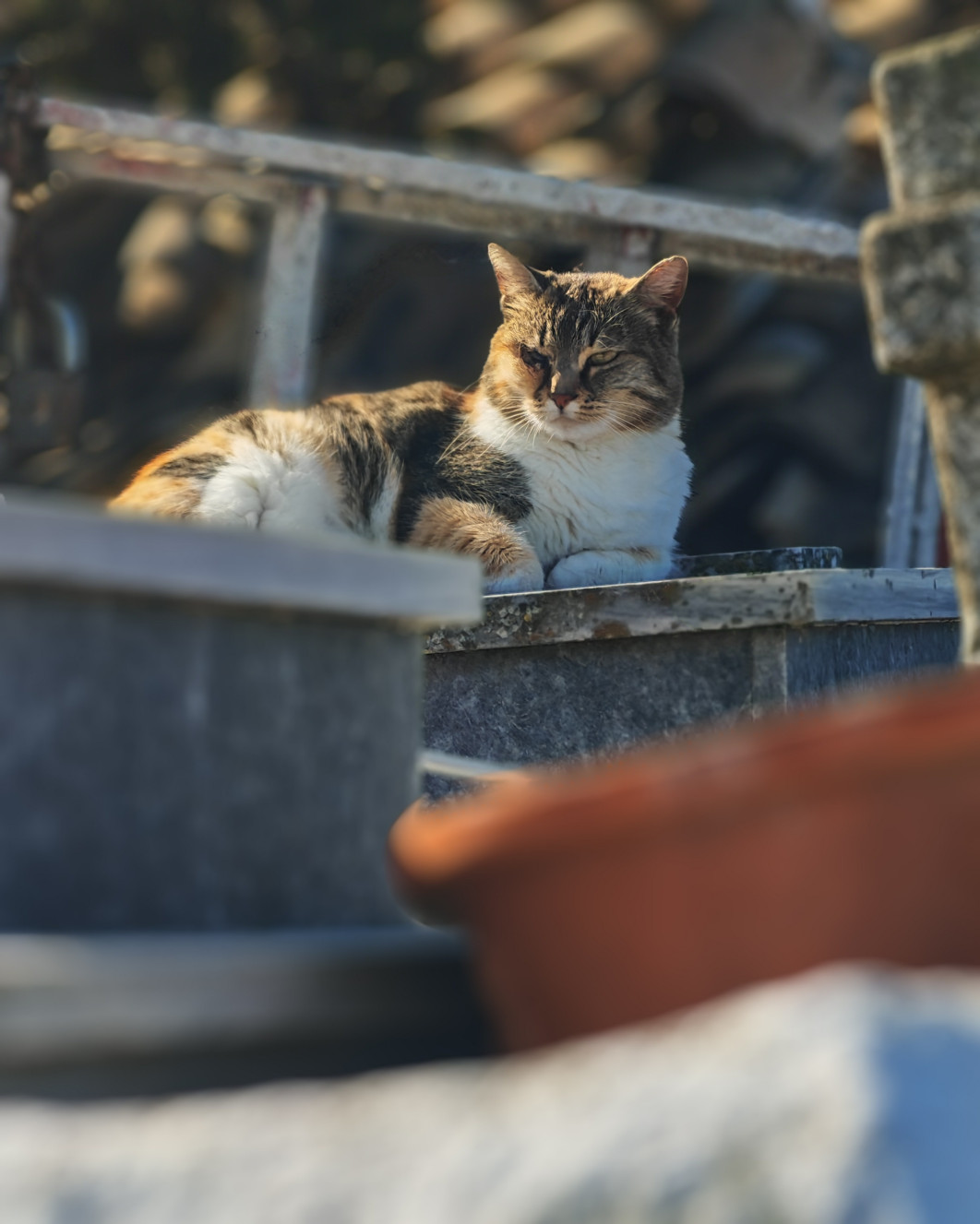 1/710 s, f/2.8, ISO 50, aparat tele (tryb portretowy)