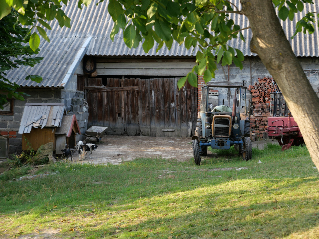 1/250 s, f/2.8, ISO 200, 34.0 mm