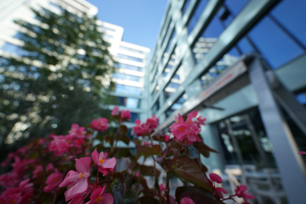 1/400 s, f/2.8, ISO 100, 12.0 mm